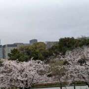 ヒメ日記 2026/04/03 13:02 投稿 福入 熟女の風俗最終章 横浜本店