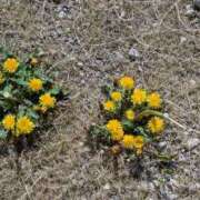 ヒメ日記 2026/04/05 11:21 投稿 福入 熟女の風俗最終章 横浜本店