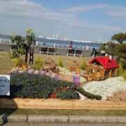 ヒメ日記 2026/04/08 13:44 投稿 福入 熟女の風俗最終章 横浜本店