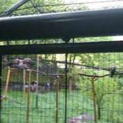 ヒメ日記 2026/04/13 15:06 投稿 福入 熟女の風俗最終章 横浜本店