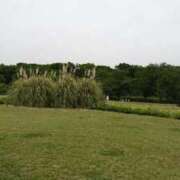 ヒメ日記 2026/04/23 12:34 投稿 福入 熟女の風俗最終章 横浜本店