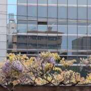 ヒメ日記 2026/05/09 12:44 投稿 福入 熟女の風俗最終章 横浜本店