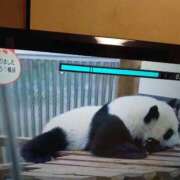 ヒメ日記 2026/06/16 11:23 投稿 福入 熟女の風俗最終章 横浜本店