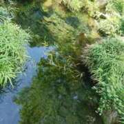 ヒメ日記 2026/09/15 12:44 投稿 福入 熟女の風俗最終章 横浜本店