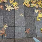 ヒメ日記 2026/09/28 13:04 投稿 福入 熟女の風俗最終章 横浜本店