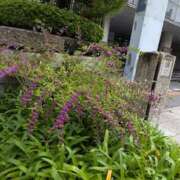 ヒメ日記 2026/10/05 12:46 投稿 福入 熟女の風俗最終章 横浜本店