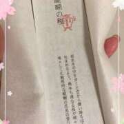 ヒメ日記 2025/02/26 14:57 投稿 ことね 土浦ハッピーマットパラダイス