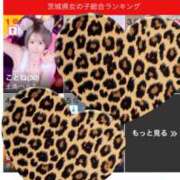 ヒメ日記 2025/10/31 16:57 投稿 ことね 土浦ハッピーマットパラダイス