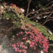 ヒメ日記 2025/11/28 21:17 投稿 ことね 土浦ハッピーマットパラダイス