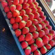 ヒメ日記 2026/01/08 21:27 投稿 ことね 土浦ハッピーマットパラダイス