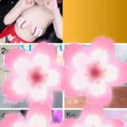 ヒメ日記 2026/02/28 07:17 投稿 ことね 土浦ハッピーマットパラダイス