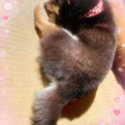 ヒメ日記 2026/04/16 14:07 投稿 ことね 土浦ハッピーマットパラダイス