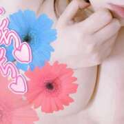 ヒメ日記 2025/02/05 12:06 投稿 まりえ 吉祥寺大人めシンデレラ（シンデレラグループ）