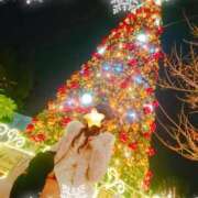 ヒメ日記 2024/12/14 14:17 投稿 アリアお嬢様 M&m Maidとm男の夢物語。