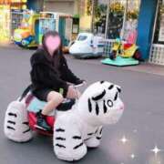 ヒメ日記 2024/12/22 23:56 投稿 アリアお嬢様 M&m Maidとm男の夢物語。