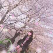 ヒメ日記 2025/03/24 22:58 投稿 アリアお嬢様 M&m Maidとm男の夢物語。