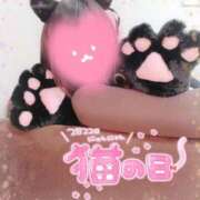 ヒメ日記 2026/02/22 14:31 投稿 アリアお嬢様 M&m Maidとm男の夢物語。