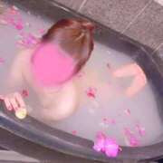 ヒメ日記 2026/04/05 22:38 投稿 アリアお嬢様 M&m Maidとm男の夢物語。