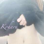 ヒメ日記 2025/11/05 18:49 投稿 こはる ハイブリッドヘルス小岩中央