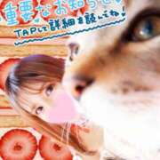 ヒメ日記 2025/11/17 13:09 投稿 こはる ハイブリッドヘルス小岩中央