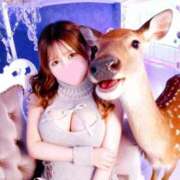 ヒメ日記 2025/11/18 15:59 投稿 こはる ハイブリッドヘルス小岩中央