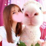 ヒメ日記 2025/11/22 09:59 投稿 こはる ハイブリッドヘルス小岩中央