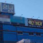 ヒメ日記 2024/12/15 14:52 投稿 小島こずえ 横浜ダンディー