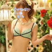 ヒメ日記 2024/12/20 02:00 投稿 小島こずえ 横浜ダンディー