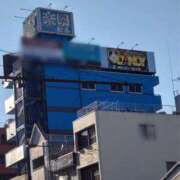 ヒメ日記 2024/12/21 14:46 投稿 小島こずえ 横浜ダンディー