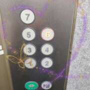 ヒメ日記 2024/12/28 14:57 投稿 小島こずえ 横浜ダンディー