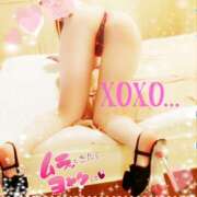 ヒメ日記 2025/04/11 14:40 投稿 小島こずえ 横浜ダンディー