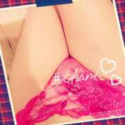 ヒメ日記 2025/05/02 11:52 投稿 小島こずえ 横浜ダンディー