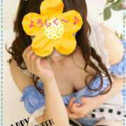 ヒメ日記 2025/10/31 12:11 投稿 小島こずえ 横浜ダンディー