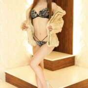 ヒメ日記 2025/12/12 11:50 投稿 小島こずえ 横浜ダンディー