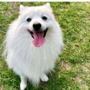 ヒメ日記 2025/02/13 13:20 投稿 りき 妻天 日本橋店