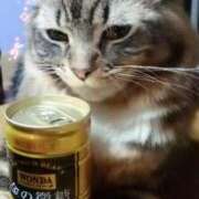 ヒメ日記 2025/02/18 11:55 投稿 りき 妻天 日本橋店