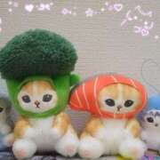 ヒメ日記 2025/03/19 04:00 投稿 りき 妻天 日本橋店