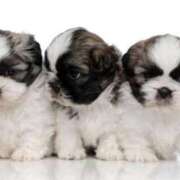 ヒメ日記 2025/06/07 04:00 投稿 りき 妻天 日本橋店