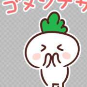 ヒメ日記 2025/07/29 15:15 投稿 りき 妻天 日本橋店