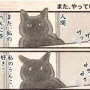 ヒメ日記 2025/09/04 07:15 投稿 りき 妻天 日本橋店