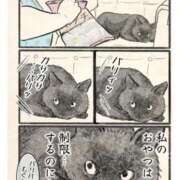 ヒメ日記 2025/09/15 06:00 投稿 りき 妻天 日本橋店