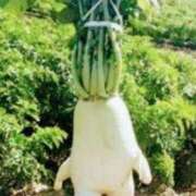 ヒメ日記 2025/10/09 09:01 投稿 りき 妻天 日本橋店