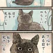 ヒメ日記 2025/10/09 09:30 投稿 りき 妻天 日本橋店