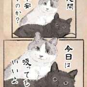 ヒメ日記 2025/10/15 10:30 投稿 りき 妻天 日本橋店