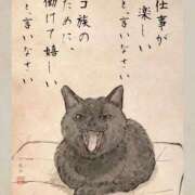 ヒメ日記 2025/10/16 04:00 投稿 りき 妻天 日本橋店