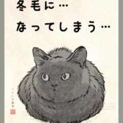 ヒメ日記 2025/10/22 09:01 投稿 りき 妻天 日本橋店