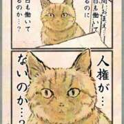 ヒメ日記 2025/10/26 04:00 投稿 りき 妻天 日本橋店