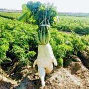 ヒメ日記 2025/10/29 09:01 投稿 りき 妻天 日本橋店