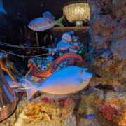 ヒメ日記 2025/12/18 04:00 投稿 りき 妻天 日本橋店