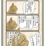 ヒメ日記 2025/12/21 13:01 投稿 りき 妻天 日本橋店